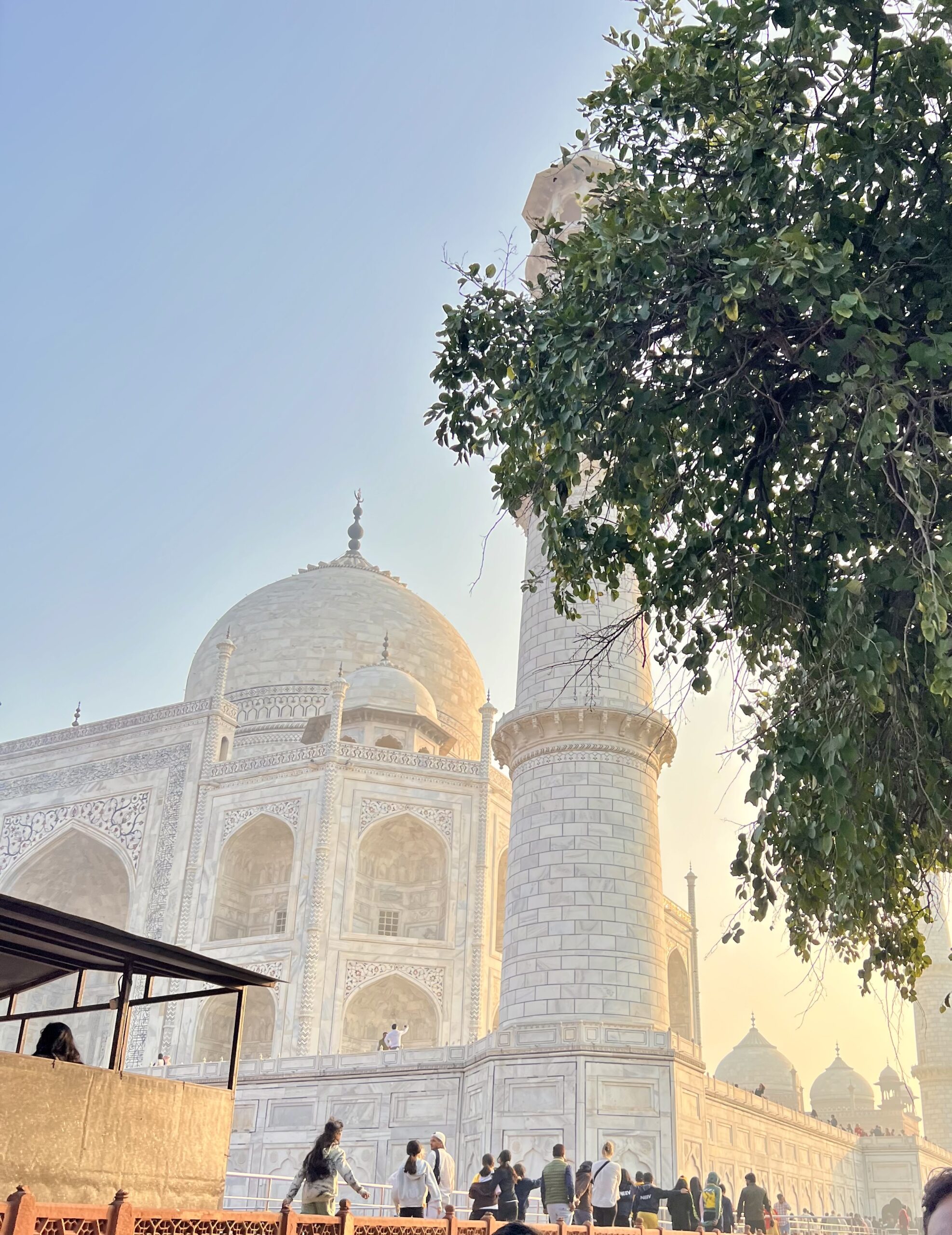 Taj Mahal Tohora India feb 2025 - collection Blanc de Blanc