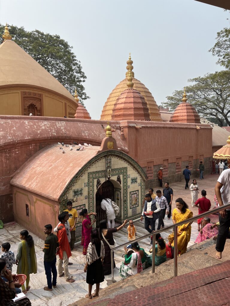 Assam India Tohora